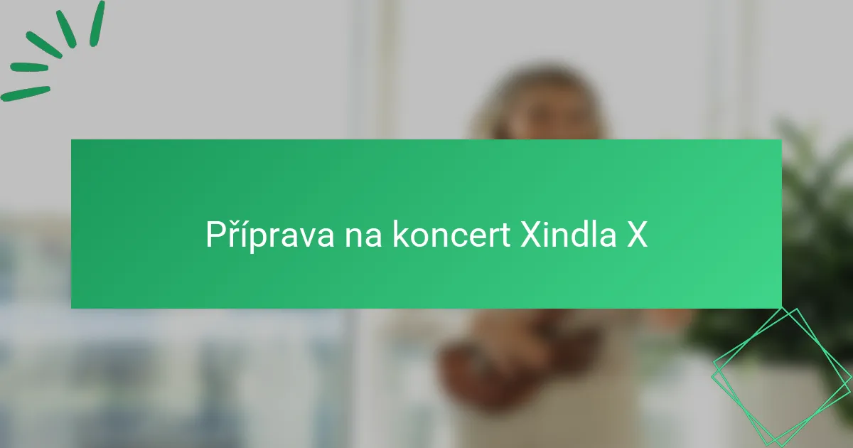 Příprava na koncert Xindla X