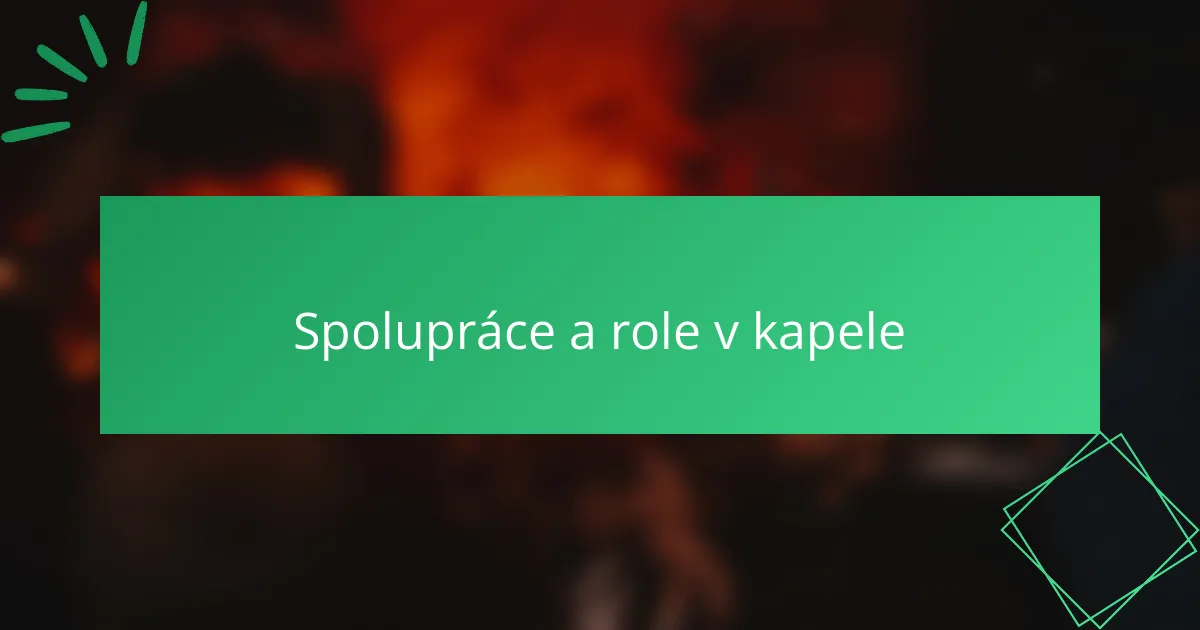 Spolupráce a role v kapele